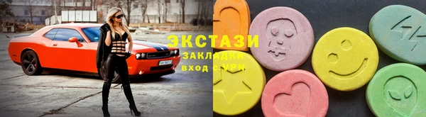 мдпв Богородицк