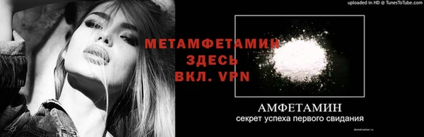 метадон Богданович