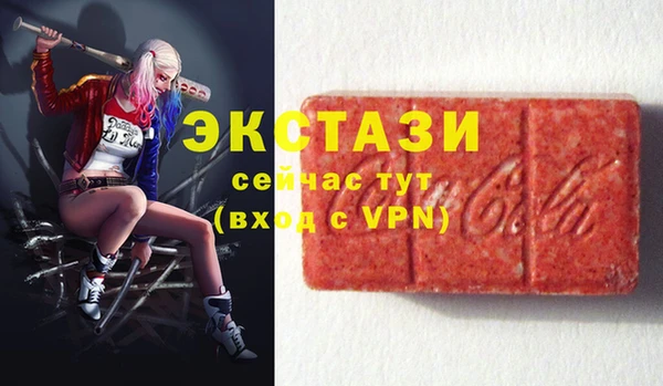 мдпв Богородицк
