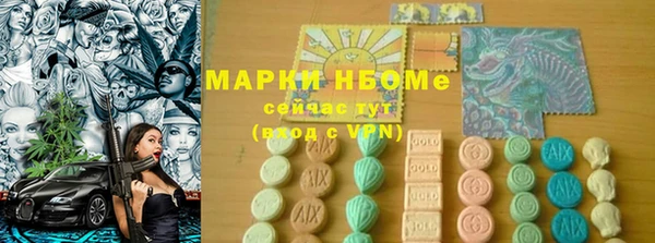 мдпв Богородицк