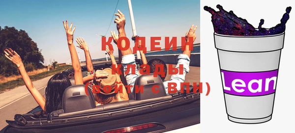 метадон Богданович