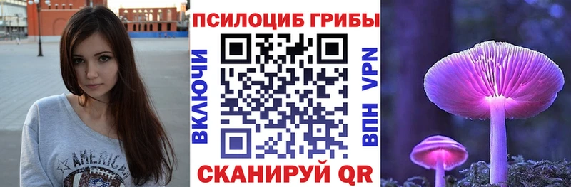 Галлюциногенные грибы Magic Shrooms  сколько стоит  Няндома 
