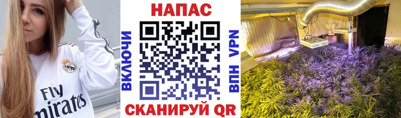 Шишки марихуана планчик  blacksprut онион  Няндома 